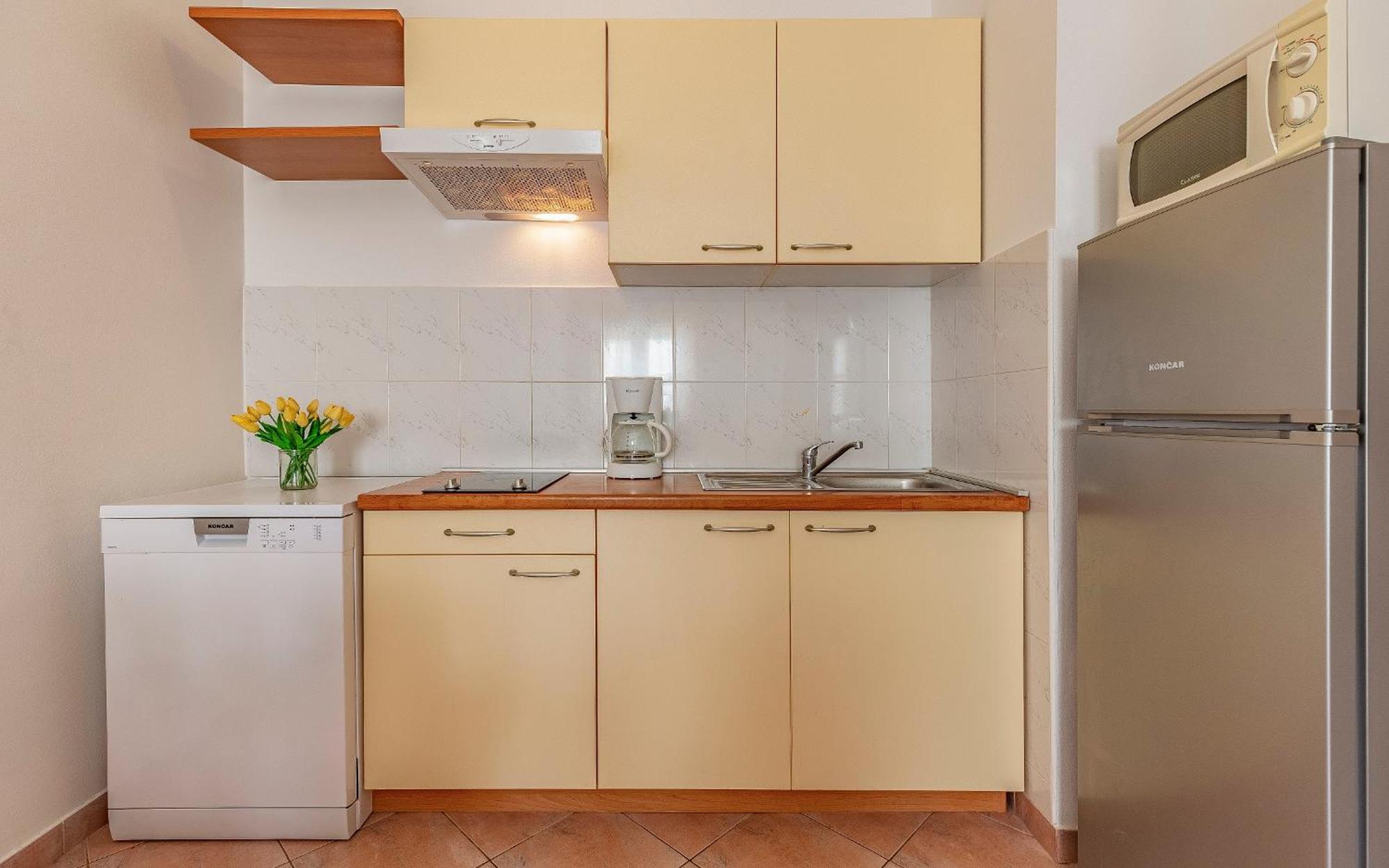 Apartment Rok Pula